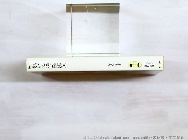 Amazon.co.jp: 熱い太陽、深海魚 SF文庫 初版/ミシェルジュリ 松浦寿輝