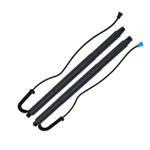 Vérins à gaz de hayon électrique arrière BMW X4 F26 2014 2015 51247339432
