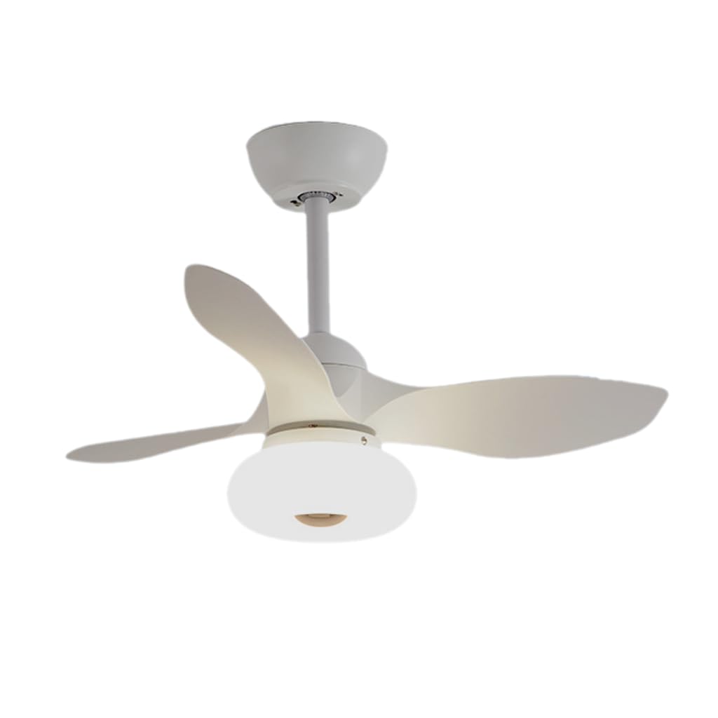 HXYSXHJUO Fan Light Ceiling Electric