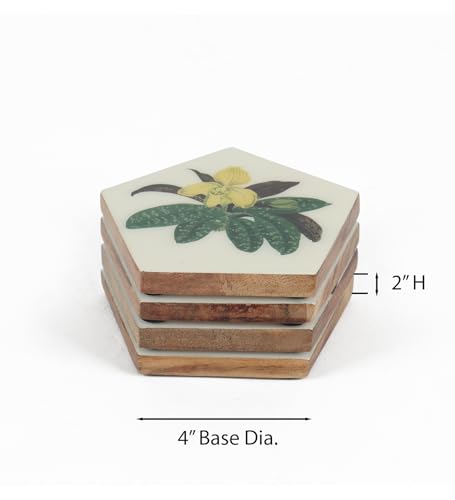 Image of Penta Bloom Coaster (Set of 4)