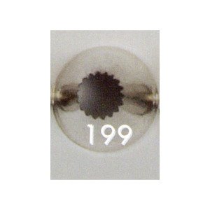 Special Decorating Tip #199