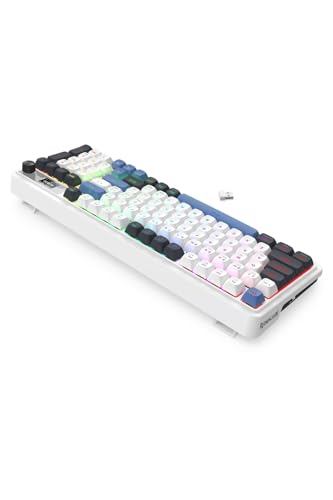 Image of Redragon K719 Wireless Gasket Gaming Keyboard w /Hype Screen & Knob, 95 Keys Mechanical Keyboard, Easy-Control 1.14'' TFT Info Display, 5-Layer Noise Dampener, Round PBT Keycaps, Mint Mambo Switch