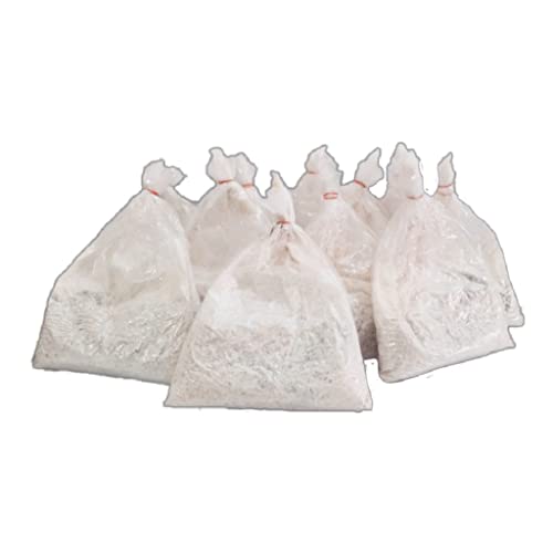 SMA Shyam Mushroom - Oyster Mushroom Spawn and Seed - 400 gram set of 2 (200 gram each) (B09MB8J627) Amazon Price History, Amazon Price Tracker