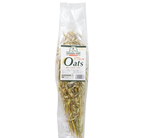 o[hAt@[ I[c̕ 50g i_Ew엿sgpj E_fpbP[W