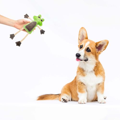 Emmi-pet Zerrspielzeug Frosch - Stressabbau für Hunde I Zahnpflege I Mit Kokosfaserfüllung I Ideal für für Welpen, mittelgroß & große Hunde I 1 Stück