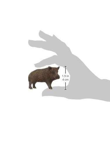 Amazon.co.jp: シュライヒ ワイルドライフ イノシシ フィギュア