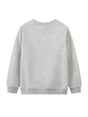 Boys Sweatshirts Casual Sweatshirts Cotton Sweatshirts Long Sleeve T-shirts Crew Neck Cartoon Tops for Boys-292