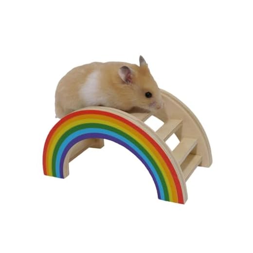 Rosewood Boredom Breaker Pont Arc En Ciel et Jouet d'Activité pour petits animaux , Dimensions 8 x 7 x 14 cm
