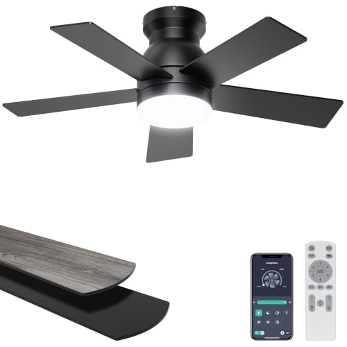 Ohniyou 32 Low Profile Ceiling Fan with Lights Remote APP Control Black - image 1