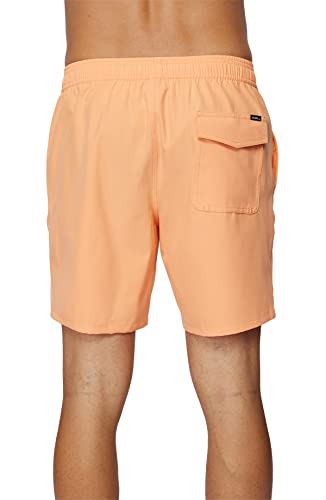 Mens Solid Volley Swim, Cantaloupe, L3