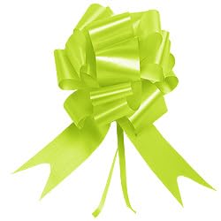 Générique Noeuds Automatiques Décoratifs en Polypro Satiné, 20 cm, Blanc, Lot de 10 (Vert Anis)