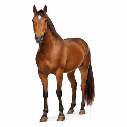 ATOZSIGN Life Size Horse Cutout 2 ft Animal Themed Party Decoration for Birthday and Themed Party