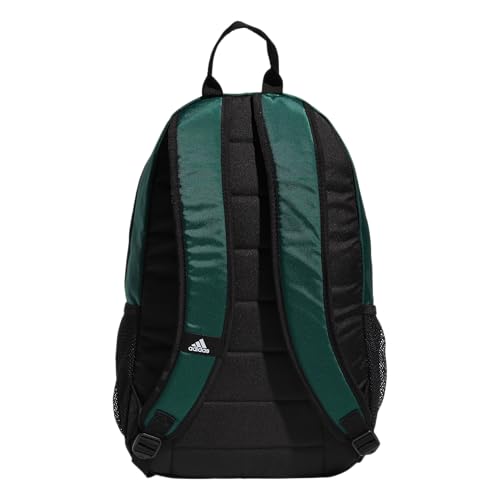 Image of Striker Team Sports Backpack for soccer and more, workout bag for men and women