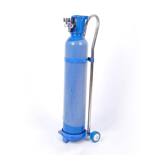 Chariot de bouteille d'oxygène robuste avec support sécurisé réservoir gaz
