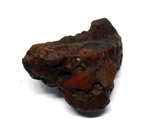 Fossils, Meteorites, & More NANTAN Iron Nickel Meteorite -Genuine-26.3 Gram + Card & COA #16129 4o