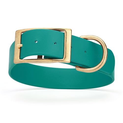 Image of Viper Biothane Heavy Duty Waterproof Dog Collar Strong Coated Nylon Webbing w /Solid Brass Hardware Odor-Proof Easy to Clean High Performance Fits Small Medium or Large Dogs, Blue Aqua