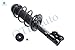 PM Auto Pair Front Left-Right Quick Complete Strut-Coil Spring For 2012-2017 Kia Rio