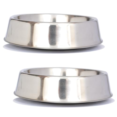 Iconic Pet 2 Pack Stainless Steel Pet Bowls with Raised Rim