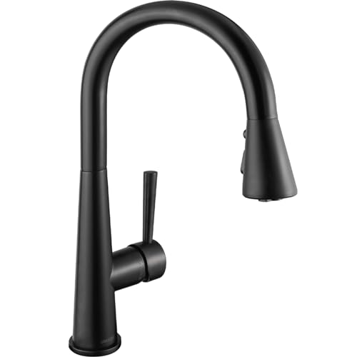 Lava Odoro Matte Black Kitchen Faucet
