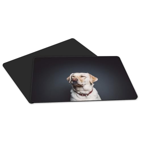 Set de table antidérapant Labrador pour protéger votre table des taches