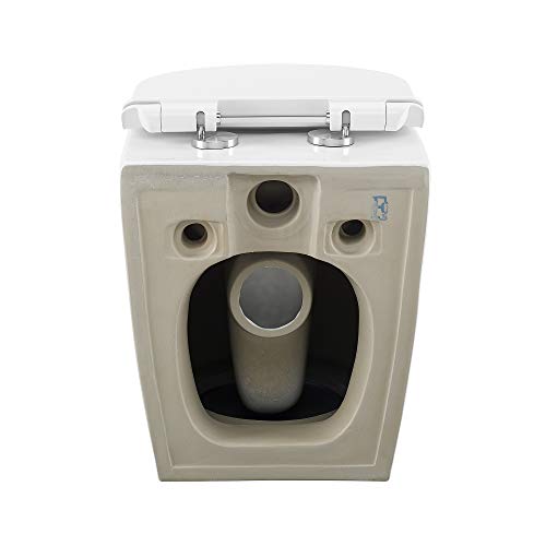 Swiss Madison Well Made Forever Sm-Wk449 St. Tropez Wall Hung Toilet Bundle, Glossy White #TOP7