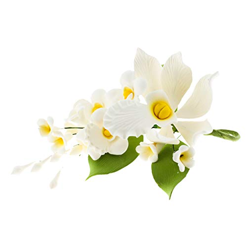 Global Sugar Art Cymbidium Orchid Sugar Cake Flowers Spray, White, 1 Count by Chef Alan Tetreault