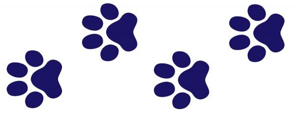 Paw Prints Step Markers (Set of 4) Porcelain Swimming Pool Mosaic (3