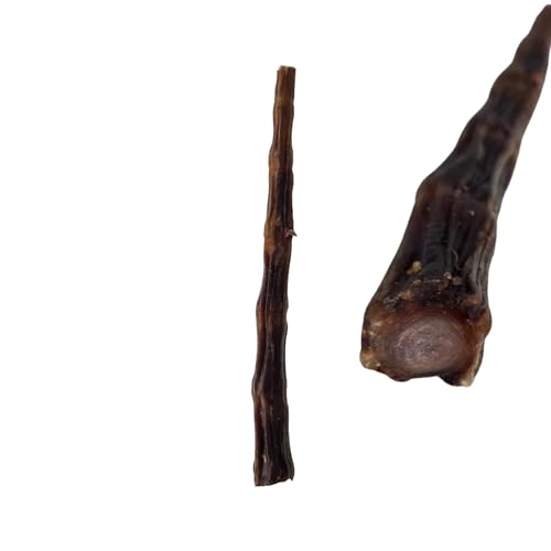 MOLY Rabo de Buey 12-14 cm Largo para Perros | Snack Canino Ternera | Mejora Salud Bucal, Dentadura y Dientes Mascota | Premio Delicioso