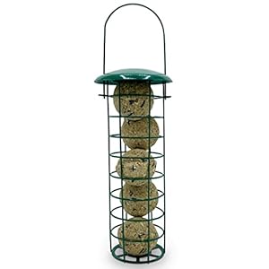 Metal Suet Fat Ball Bird Feeder for Outdoor Birds – Attracts a Variety of Birds To Your Garden