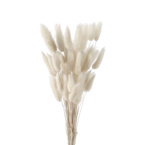 Decorazione Bohémien: Pampas decorative alte fiorei molto adatti per composizioni floreali in stile bohémien, mantenendo i colori fiori decorativi dell'erba della pampa e persino delle piume, decorando il soggiorno, la sala da pranzo o la sala studio e decorando l'ufficio. Lascia che la natura si avvicini e rilassati in un luogo dove senti il ​​fascino della natura