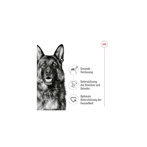 Royal Canin Maxi Adult | 12 x 410 g | Alleinfuttermittel für ausgewachsene große Hunde (26-44 kg) | Nährstoffreiche und ausgewogene Feuchtnahrung mit hochverdaulichen Proteinen
