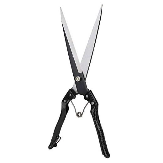 Precision Sheep Shears for Easy Grooming