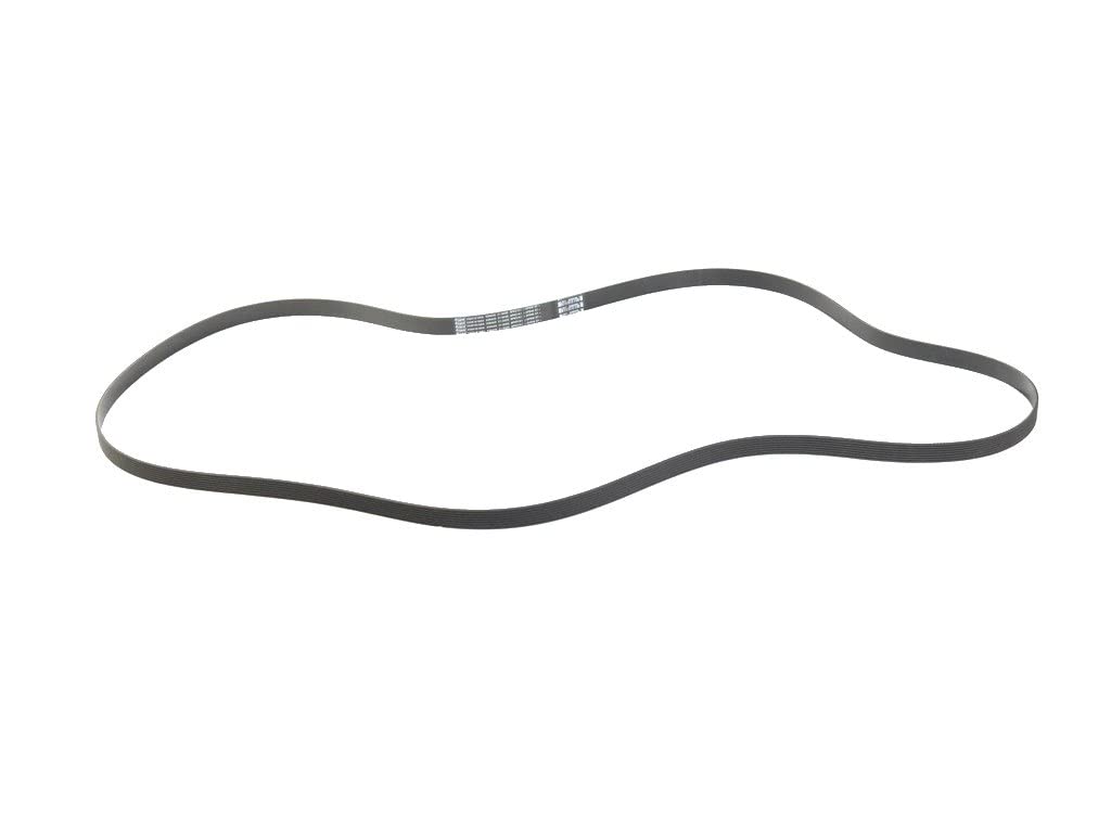 Serpentine Belt