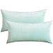 MIULEE Federe per Cuscino 2 Pezzi Copricuscini in Velluto per Divano Decorativi Fodere Quadrate per Cuscino Soggiorno Camera da Letto Casa Salotto Sedia 40X80cm Celeste