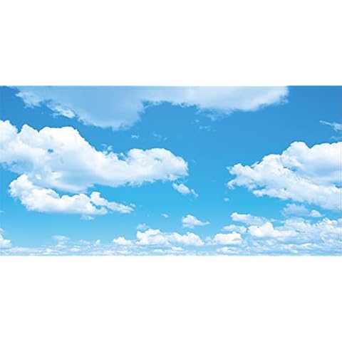 Yeele 20x10ft Blue Sky White Cloud Backdrop Sunny Day Sky Nature Photography Background Room Decorations Party Banner Baby Shower Kids Adults Artistic Portrait Photo Video Shoot Vinyl Studio Props Cover