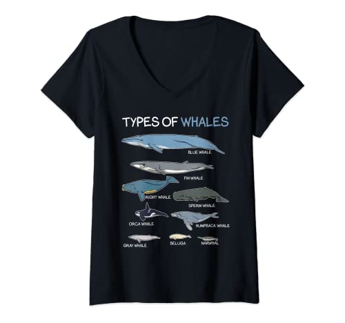 Mujer Types Of Whales Ocean Creatures Fish Mammal Lovers Water Camiseta Cuello V