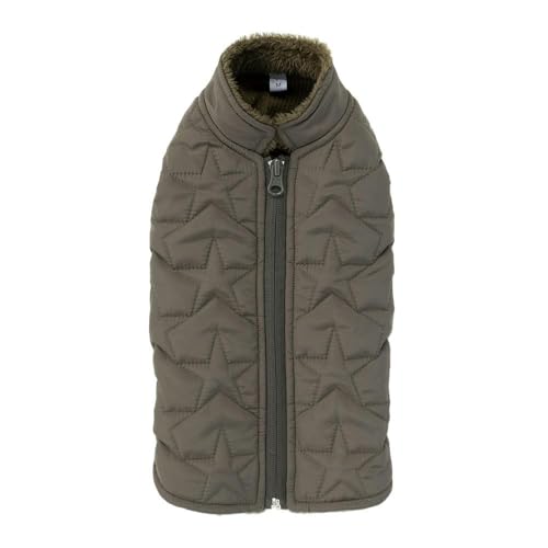 JCY(CAINZ) LgxXgJ[L SSTCY ybg(̕)