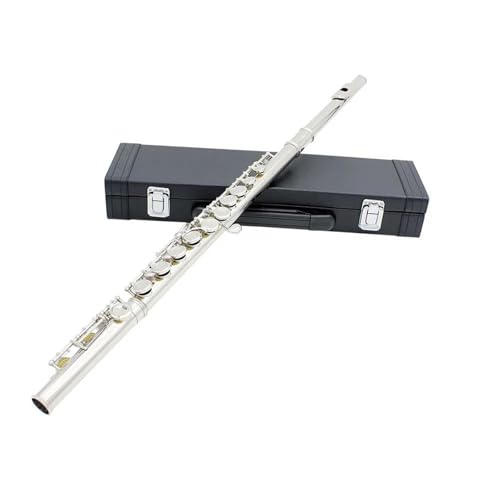 Flauta travesera principiante Flauta De 16 Orificios Cerrados Flauta Con Llave C Con Funda De Cuero Flauta Profesional De Viento De Madera Para Concierto(Silver)