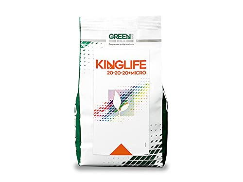 Kinglife 20-20-20, NPK 20-20-20 + microelementi (25 Kg), concime idrosolubile per piante e fiori