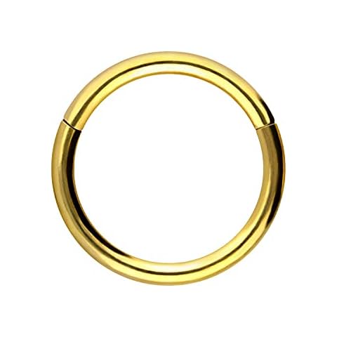 PIERCINGLINE Titanium Hinged Segment Ring 16G 18G 20G Septum Jewelry Nose Ring Helix Tragus Cartilage Daith Ear Piercing Jewelry, Titanium Cover