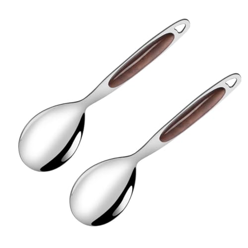 2-Pack Stainless Steel Long Handle Serving Spoons Heavy-Duty Food Serving Utensils for Buffets Salads Soups & Western Cuisine (Elegant Design)