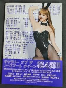 ギャラリー オブ ザ ノーズアート クイーン Vol.4 Amazon.co.jp: ギャラリー オブ ザ ノーズアート クイーンVol.4