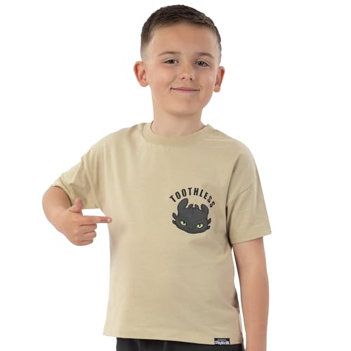 Image of How To Train Your Dragon Shirt And Shorts, Toothless Boys Tshirt And Boys Shorts, Dragon Cotton T Shirt Outfit Set