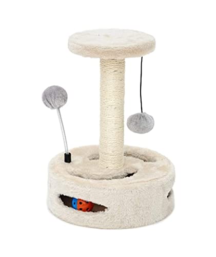 �ؓo��L���b�g�|�[�� �L�̈��������_�A�T�C�U�������[�v�t���̔��̂�������̒܂̈��������� �V�� �V�я�