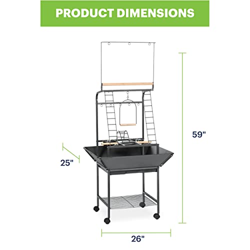 Image of Prevue Pet Products Small Parrot Playstand with Wheels, Bird Stand Activity Play Center with Perches and Ladders, Indoor Outdoor Playground for Birds with Swing, Black Hammertone Finish