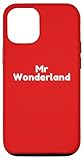Fácil instalación Carcasa para iPhone 15 Diseño simple de Mr Wonderful, solo texto
