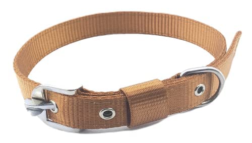 SR VISION Dog Belt Adjustable Nylon Sturdy & Fancy Pet Neck Collar for Dog (1 Inch, Golden Color) (B0BD7C3GDZ) Amazon Price History, Amazon Price Tracker