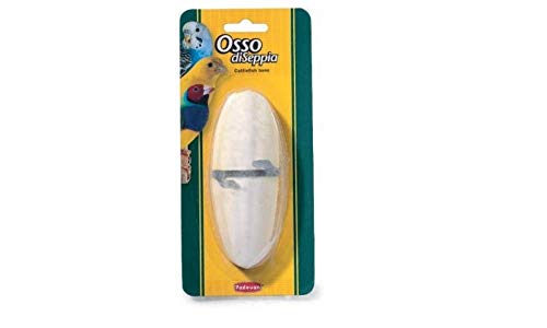 Padovan Hueso de Sepia para pájaros – 1 Unidad de 14 g en blíster