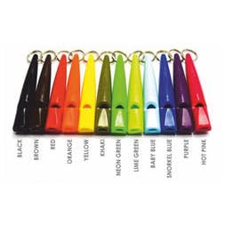 Dog Trainer Using ACME Whistle Outdoors