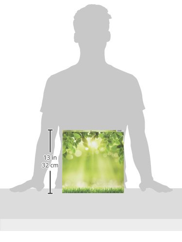 Papier double face 30 x 12-inch Signes de Printemps rigide - 4